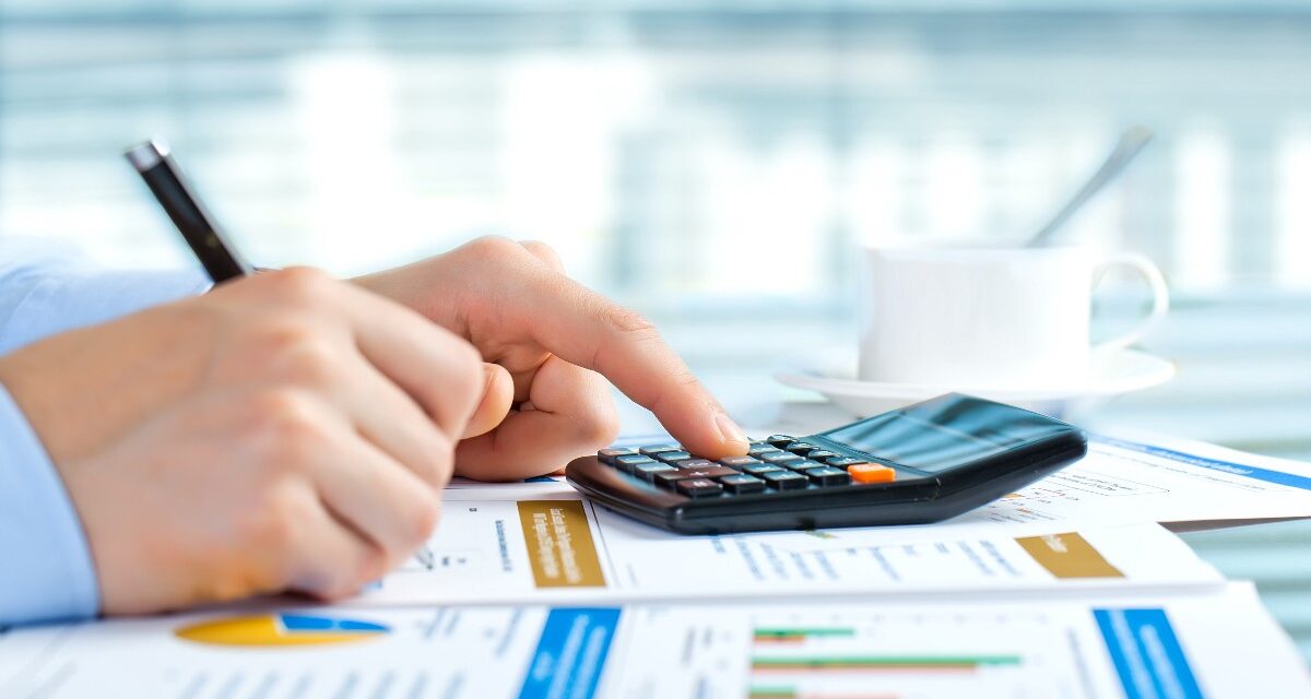 Preparation of financial statements of public legal entities 